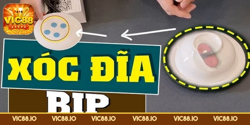 xoc-dia-bip-nhan-dien-dau-hieu